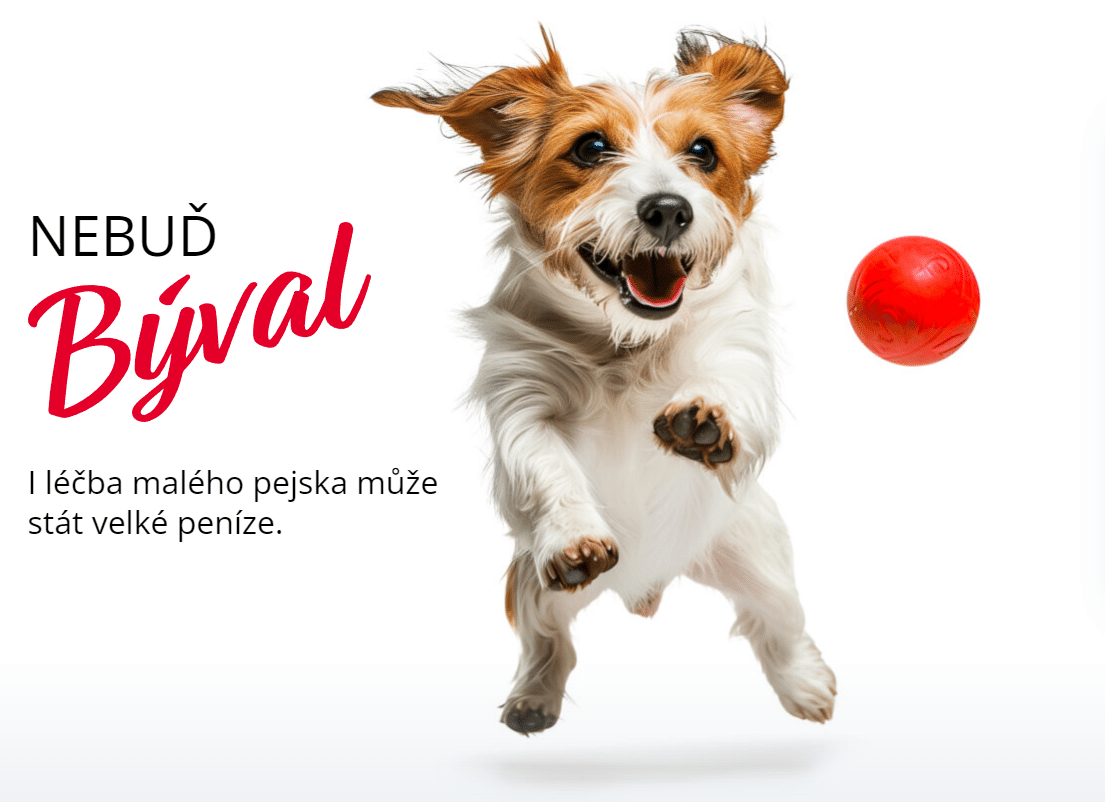 Nebudbyval