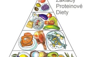 Co je proteinová dieta